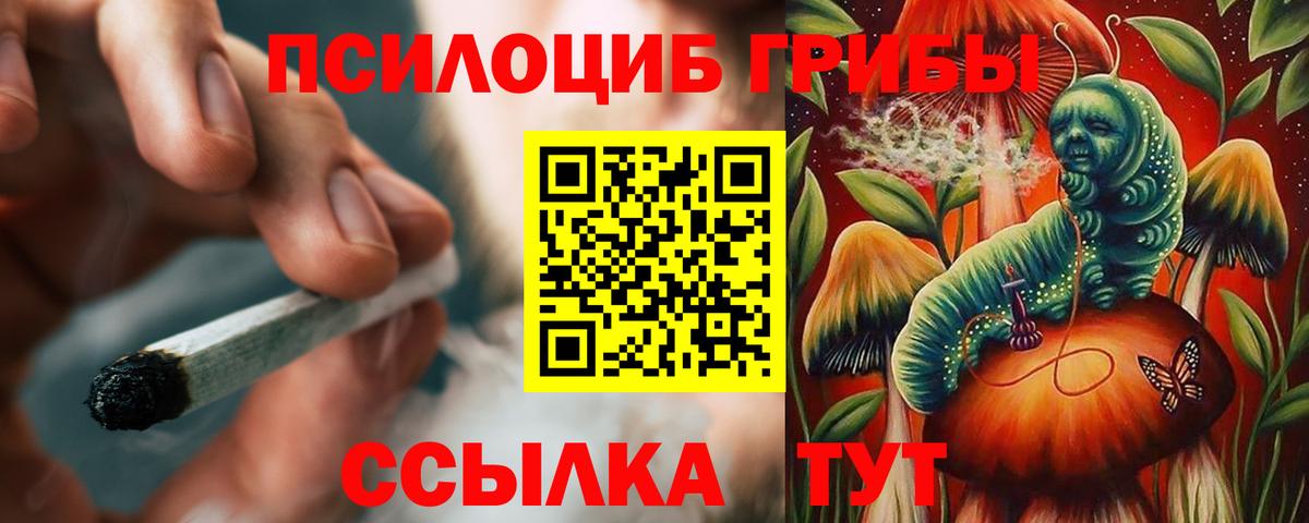 Псилоцибиновые грибы Cubensis Тара